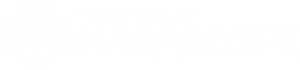 logo4